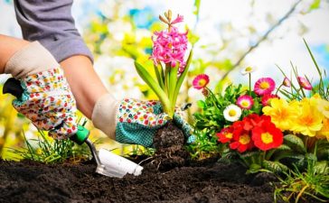 aanleggen moestuin