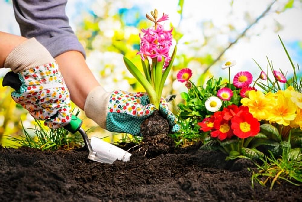 aanleggen moestuin