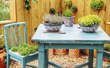 5 tips voor een budgetvriendelijke tuin