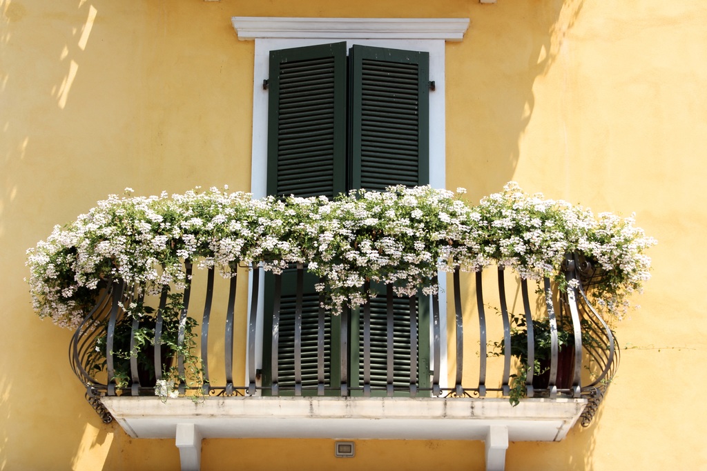 Meer groen op het balkon 3 tips