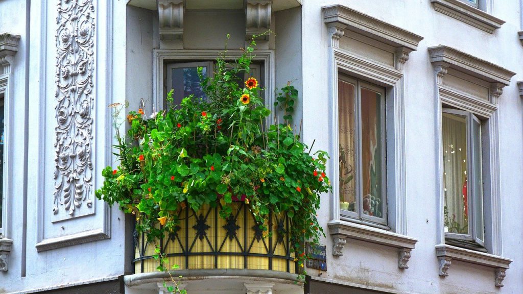 balkon planten