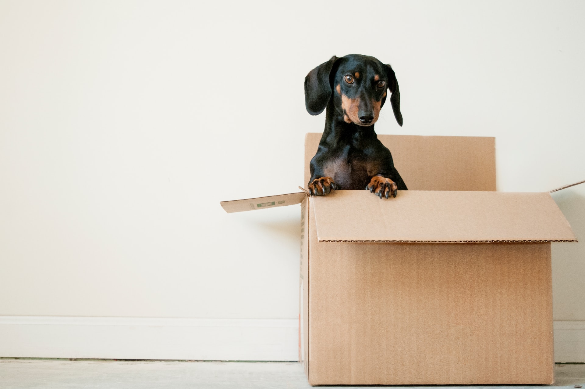 Tips voor verhuizen om nooit te vergeten!
