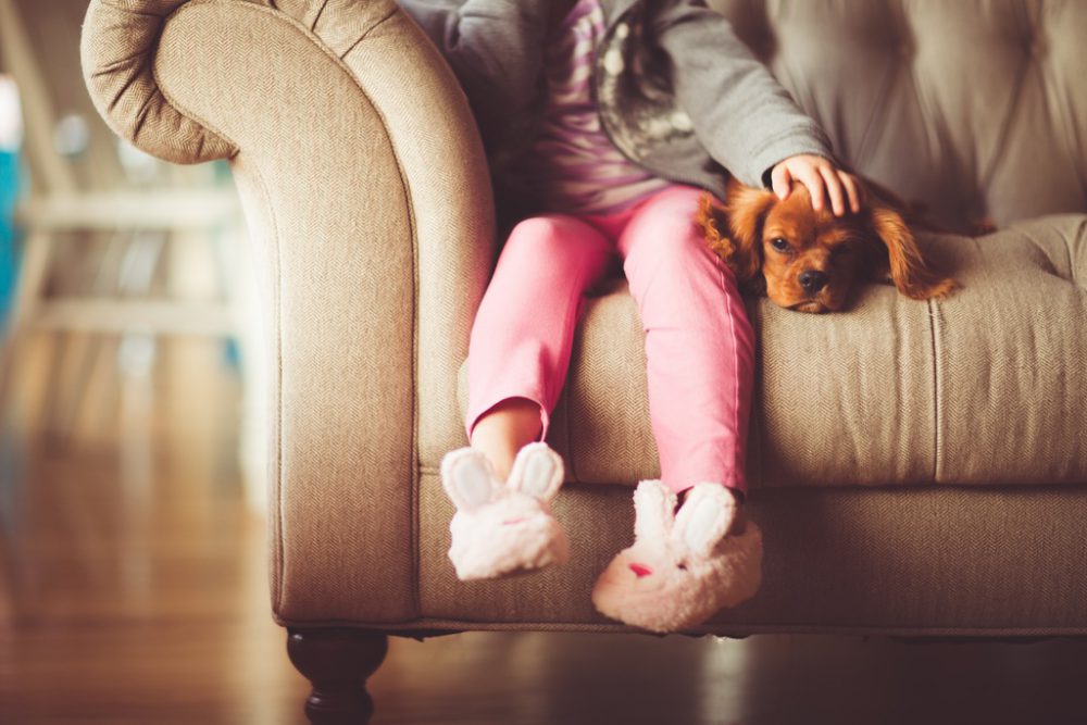 Waarom een comfortabel huis tegenwoordig zo belangrijk is
