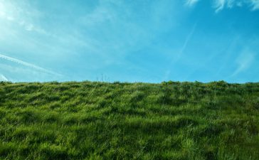 OPENBAAR GROEN EN HET PERFECTE GRAS