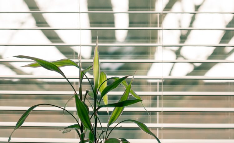 4 Redenen waarom je kiest voor rolgordijnen in je interieur