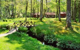 Tips voor het uitvoeren van jouw tuinplan