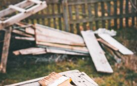 Je bestaande tuin opnieuw laten ontwerpen? Lees over beplanting, privacy, afwatering en het kiezen van een geschikt hoveniersbedrijf.
